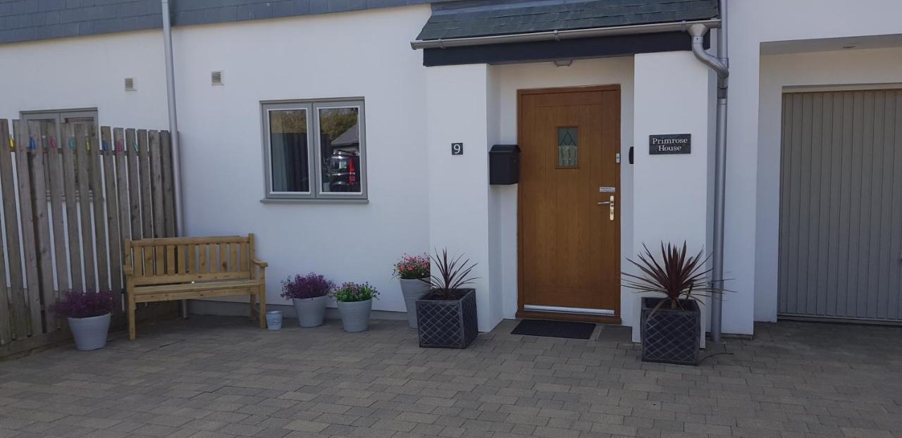 Primrose House Bed and Breakfast St Ives Εξωτερικό φωτογραφία